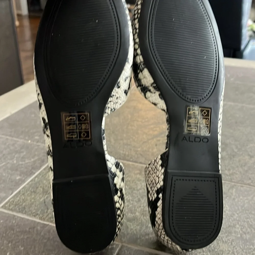 Aldo really cute
